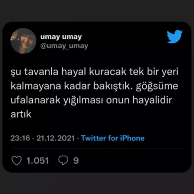 instagram-hikayelerde-ekran-görüntüsü-almadan-tweet-paylaşma
