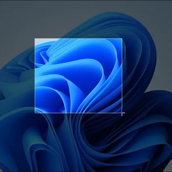 Windows-11de-Ekran-Görüntüsü-Nasil-Alinir