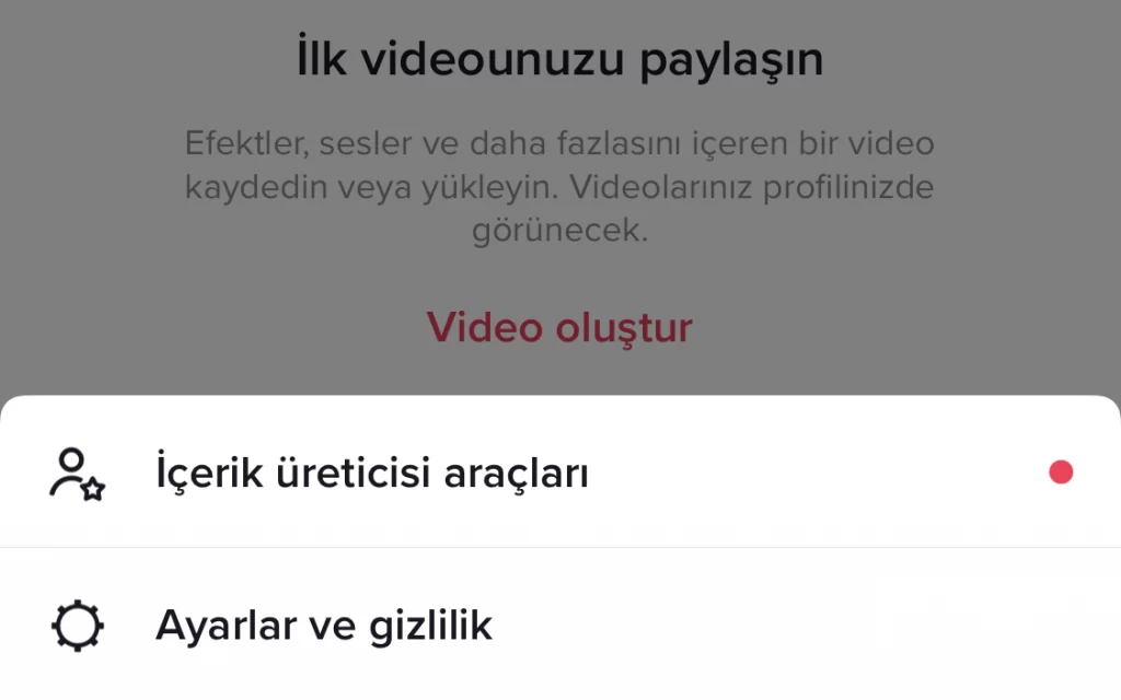 iPhoneda-TikTok-İzleme-Geçmişi-Görme