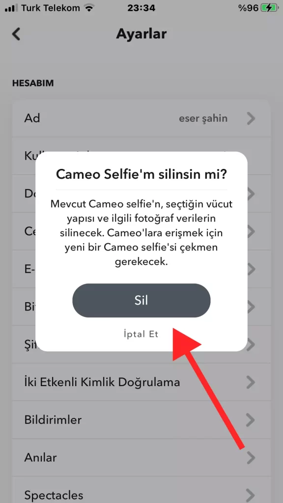 Snapchat-Cameo-Silme