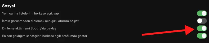 Spotify-Arkadaş-Aktivitesi-Görünmüyor-1