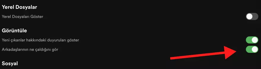 Spotify-Arkadaş-Aktivitesi-Görünmüyor