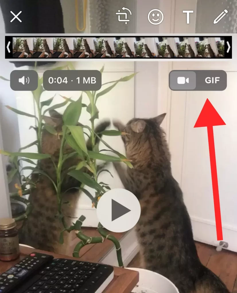 WhatsApp-GIF-Yapma